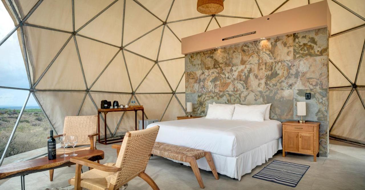 Alpasion Lodge Tunuyán Eksteriør billede